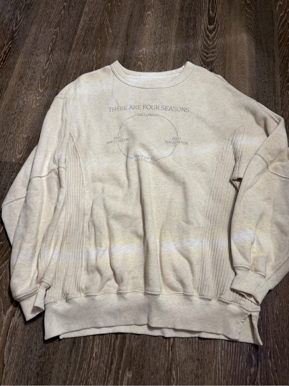 halloween aerie crewneck